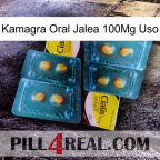 Kamagra Oral Jelly 100Mg Use cialis5